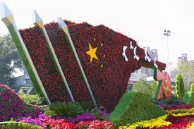今年会官方网站 义马市政绿化树木品种分类
