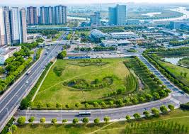 今年会jinnianhui 兴化附近哪里有绿化草坪卖的